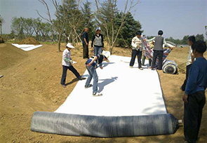 草莓视频污导航施工案例